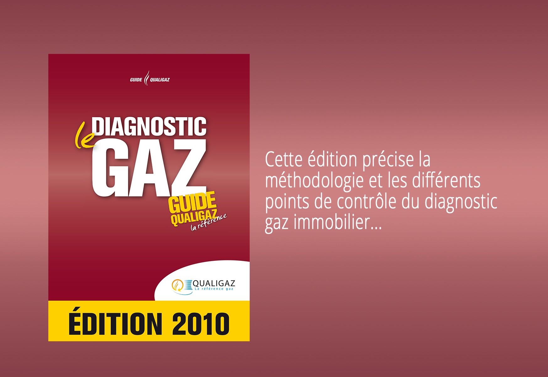 Diagnostic gaz : le Guide Qualigaz